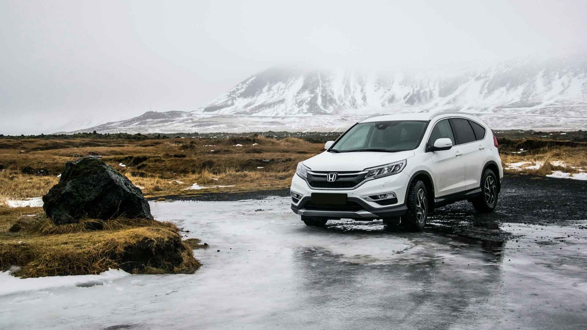 Car Rental